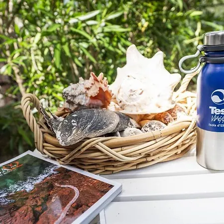 Gli Oleandri Di Appartamento Procchio (Isola d'Elba)